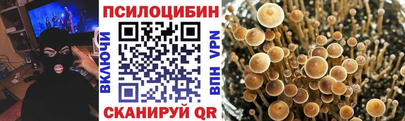 Псилоцибиновые грибы мухоморы  ссылка на мегу маркетплейс  Реутов 