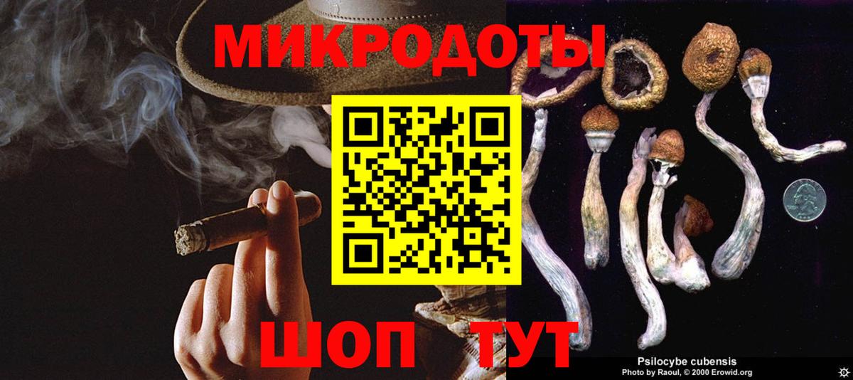Реутов  Псилоцибиновые грибы Psilocybe  Вход с VPN  Псилоцибиновые грибы GOLDEN TEACHER 
